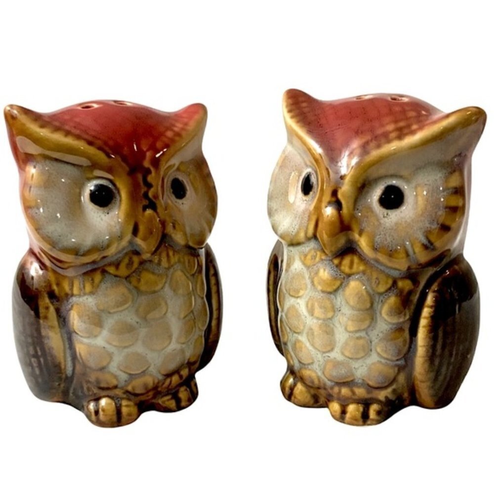 Owl Salt and Pepper Shakers Hand Painted Ceramic Rustic Farmhouse Decorative Set